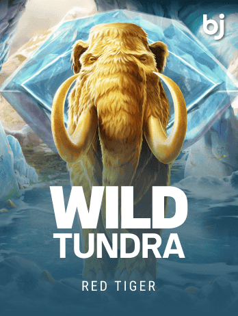 Wild Tundra game icon